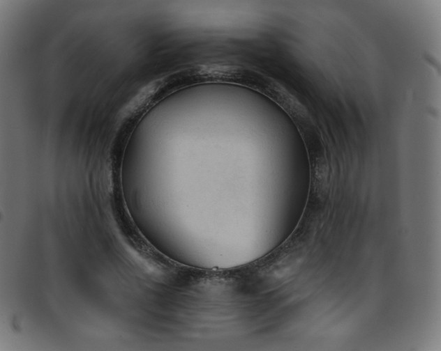 X0000097750734200803071248