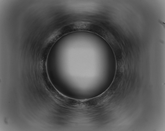 X0000097750735200803071248