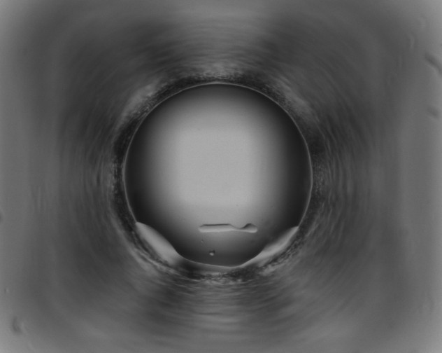 X0000097750736200803071248