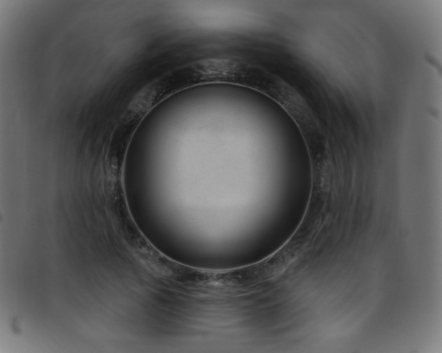 X0000097750737200803071248