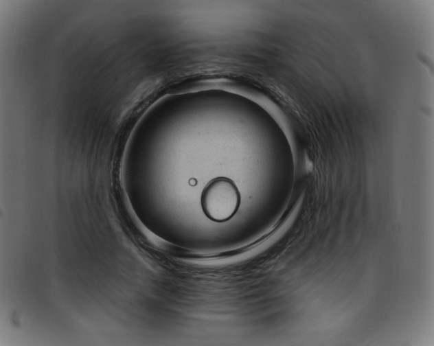 X0000097750738200803071248