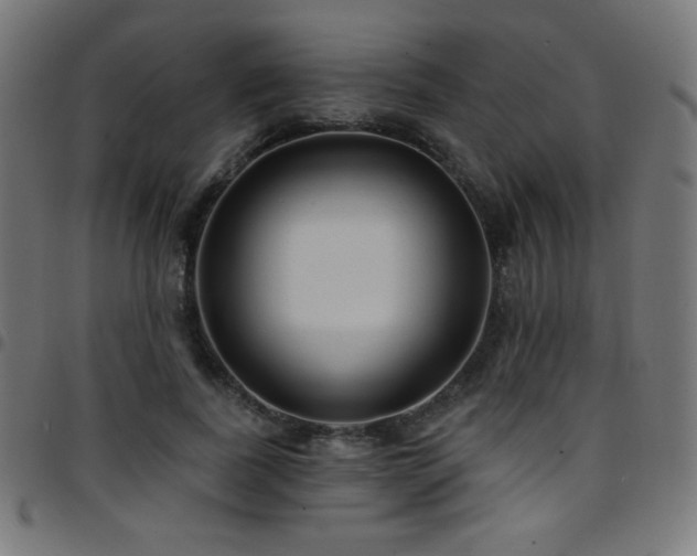 X0000097750739200803071248