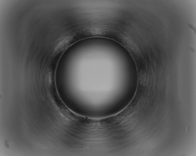 X0000097750740200803071248
