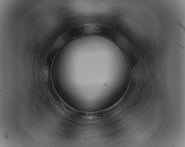 X0000097750741200803071248