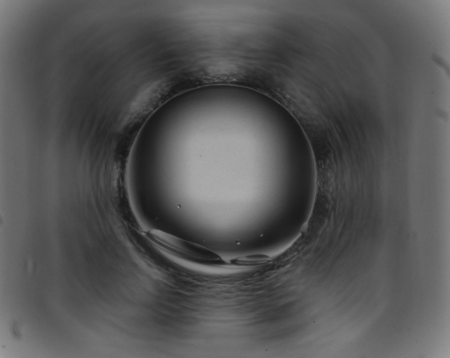 X0000097750742200803071248