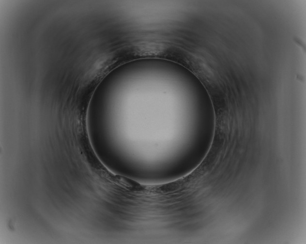 X0000097750743200803071248