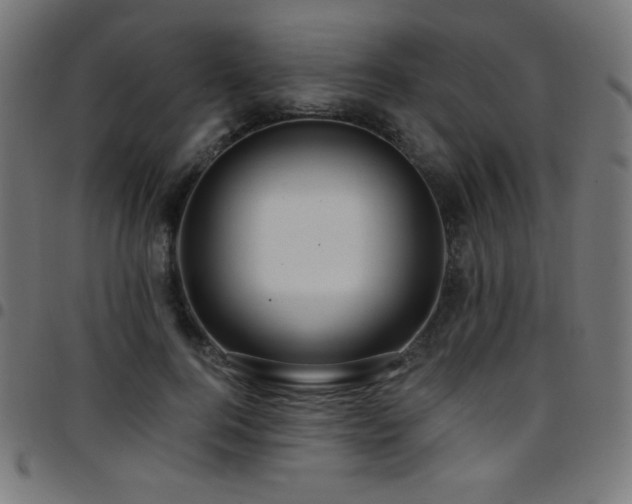X0000097750744200803071248