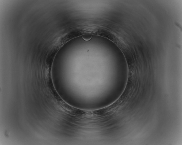 X0000097750745200803071248