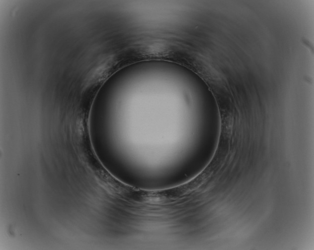 X0000097750746200803071248