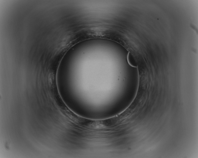 X0000097750747200803071248