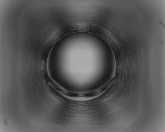 X0000097750748200803071248