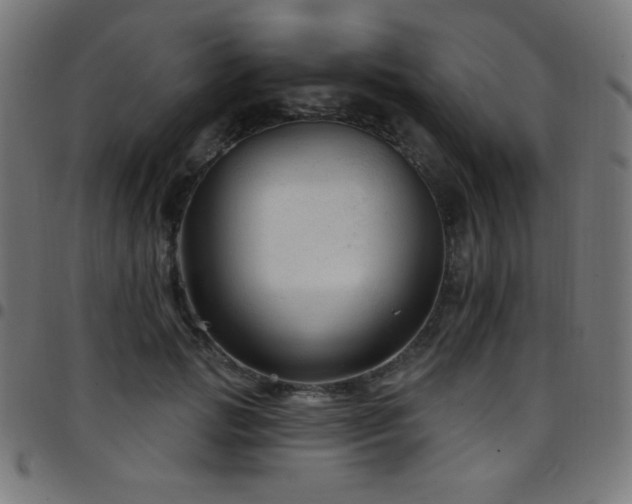 X0000097750749200803071248