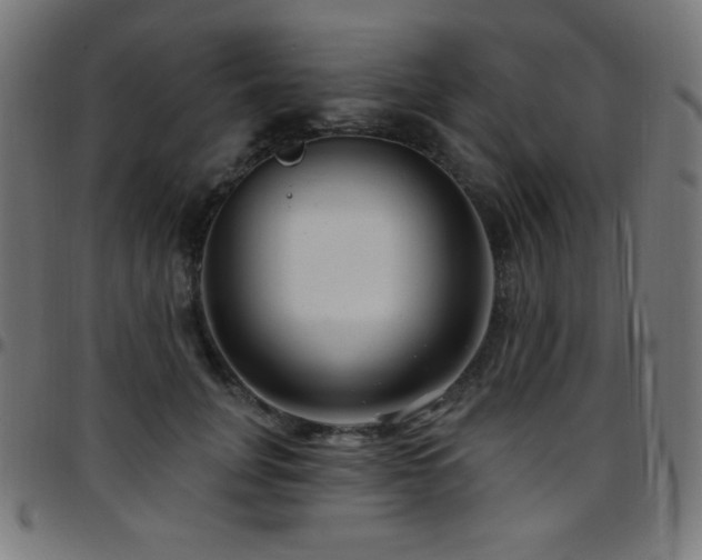 X0000097750751200803071248