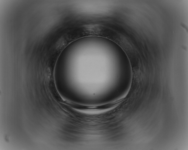 X0000097750752200803071248