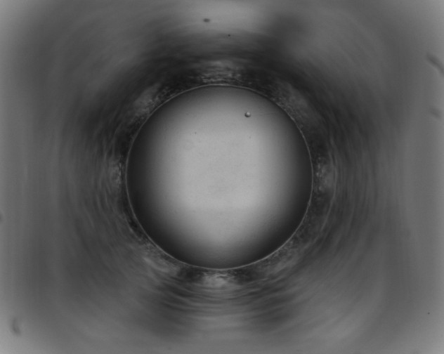 X0000097750753200803071248