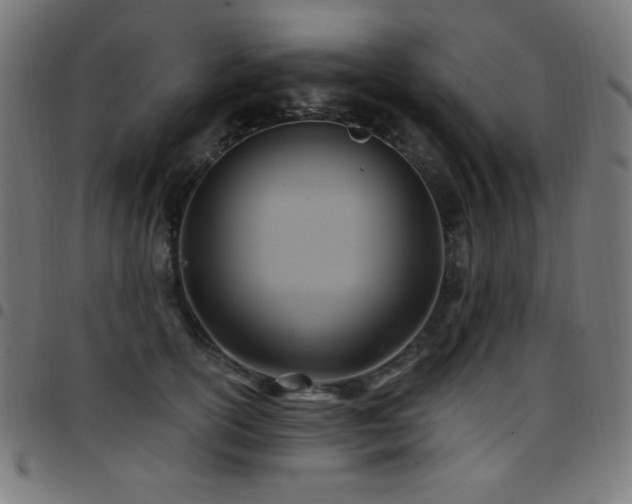 X0000097750754200803071248