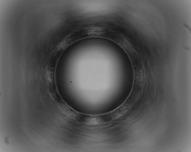 X0000097750755200803071248