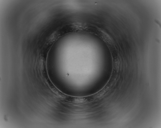 X0000097750757200803071248