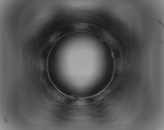 X0000097750758200803071248