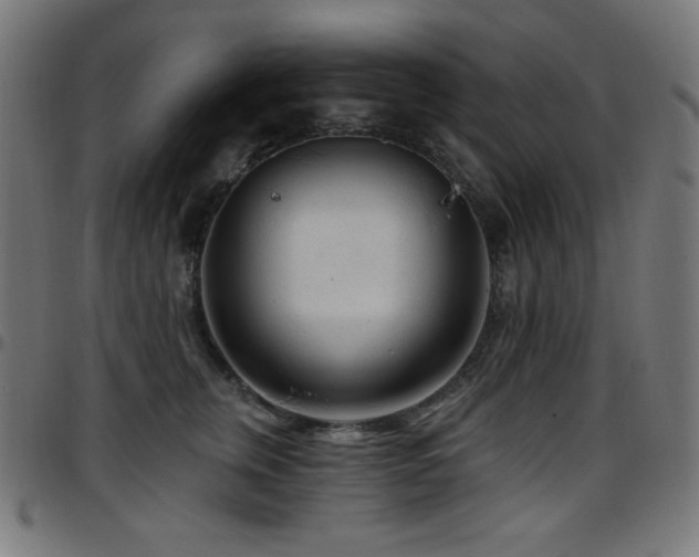 X0000097750759200803071248