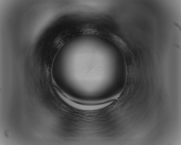 X0000097750761200803071248