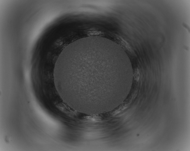 X0000097750763200803071248