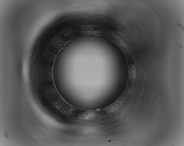 X0000097750764200803071248