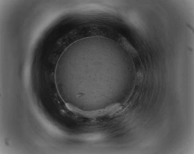 X0000097750765200803071248