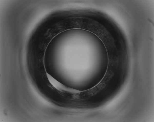 X0000097750766200803071248