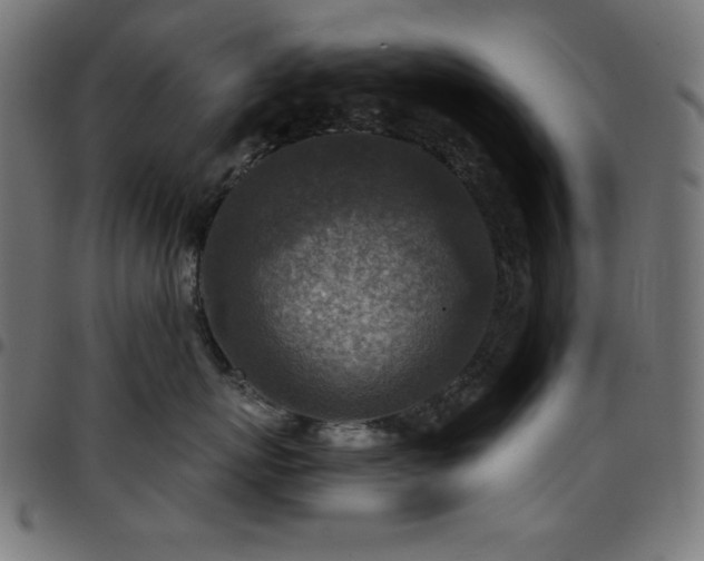 X0000097750767200803071248