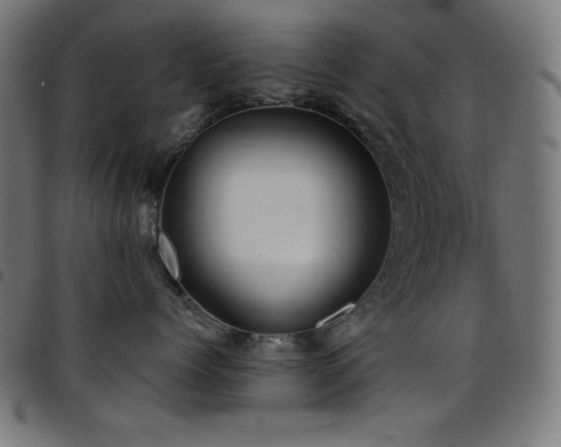 X0000097750768200803071248