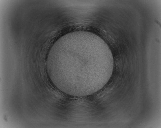 X0000097750769200803071247
