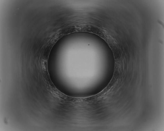 X0000097750770200803071247
