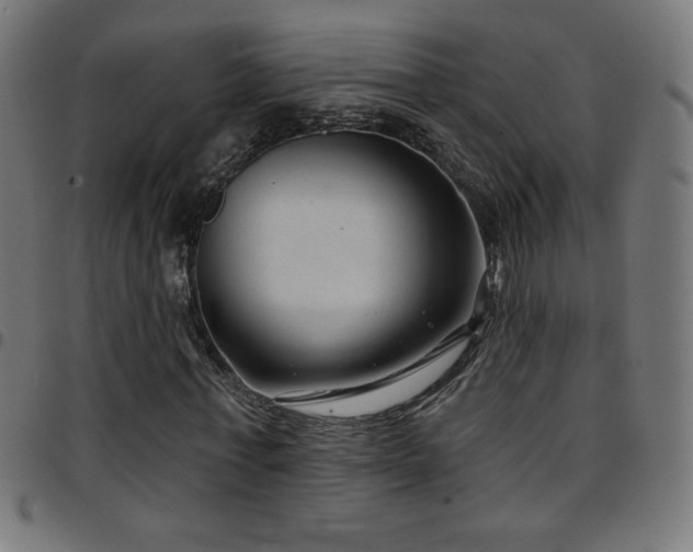 X0000097750771200803071247
