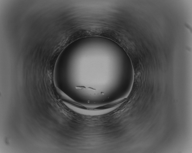 X0000097750772200803071247
