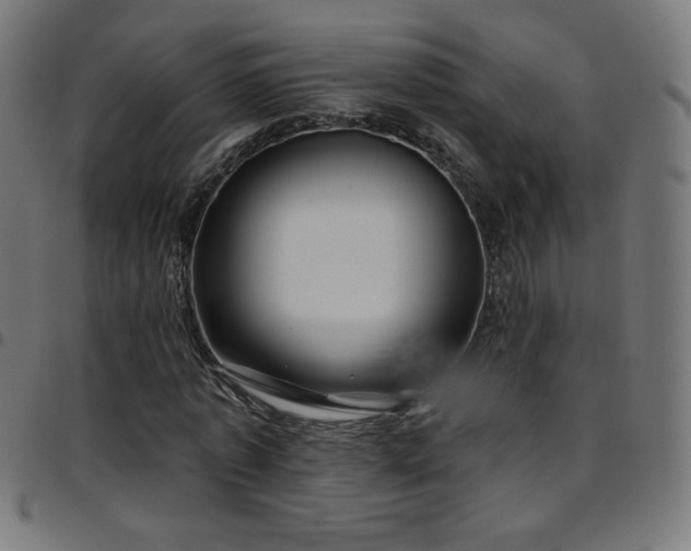 X0000097750773200803071247