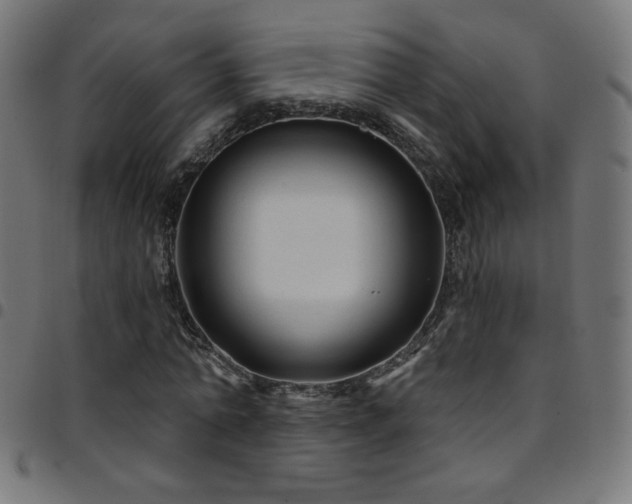 X0000097750774200803071247