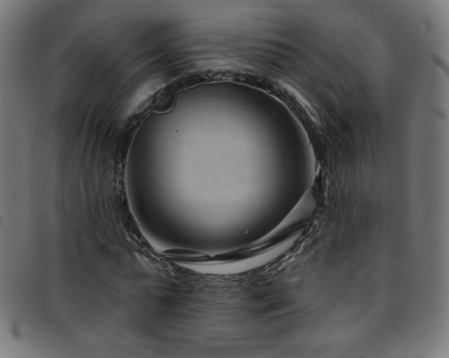 X0000097750775200803071247