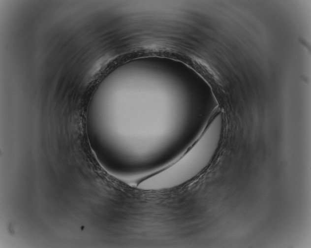 X0000097750776200803071247