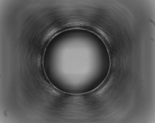 X0000097750778200803071247