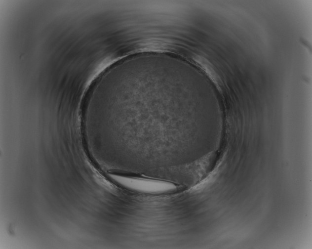 X0000097750779200803071247