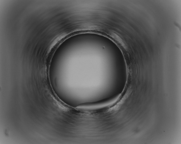 X0000097750781200803071247