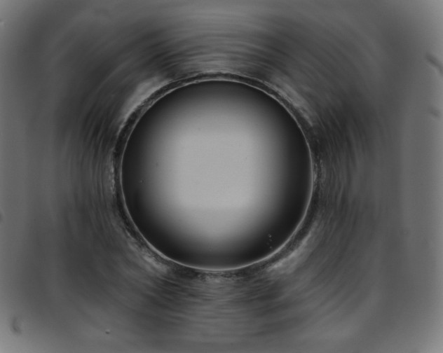 X0000097750782200803071247