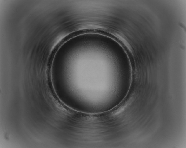 X0000097750783200803071247