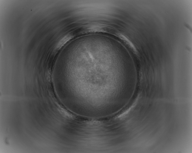 X0000097750785200803071247