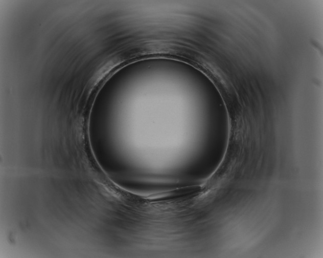 X0000097750786200803071247