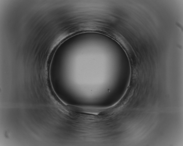 X0000097750787200803071247