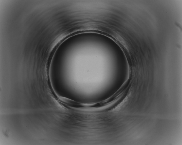 X0000097750789200803071247
