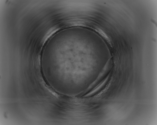 X0000097750790200803071247