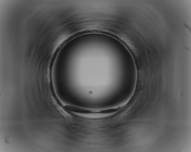 X0000097750791200803071247